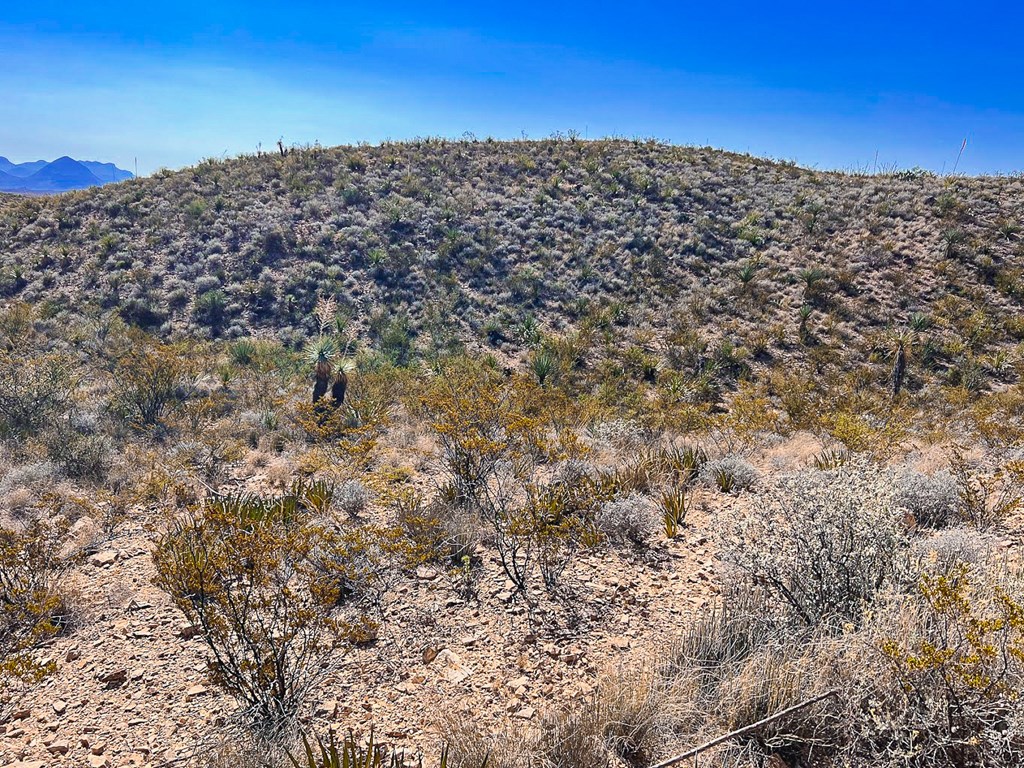 16 Private Rd, Terlingua, Texas image 6