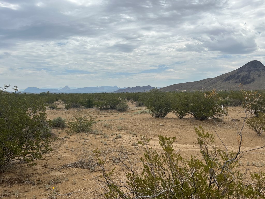 14833 Carico, Terlingua, Texas image 6