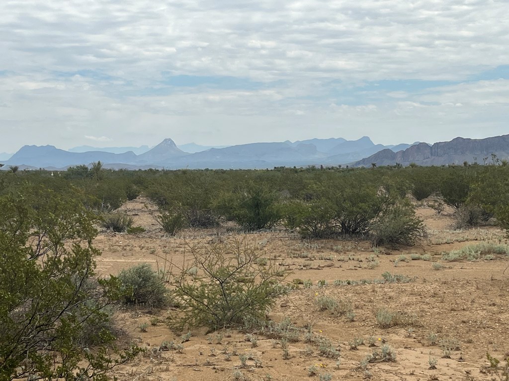 14833 Carico, Terlingua, Texas image 5