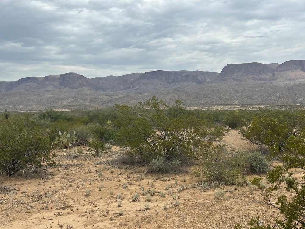 14833 Carico, Terlingua, Texas image 4