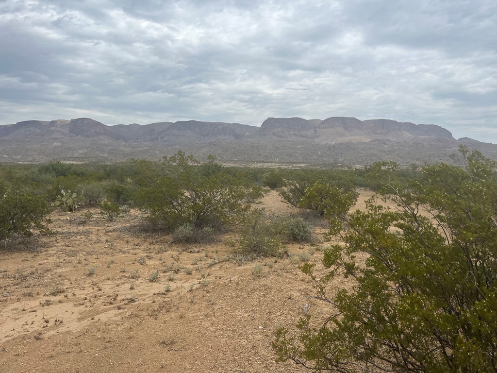 14833 Carico, Terlingua, Texas image 3