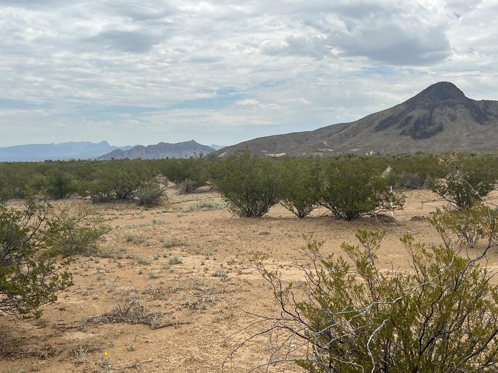 14833 Carico, Terlingua, Texas image 1