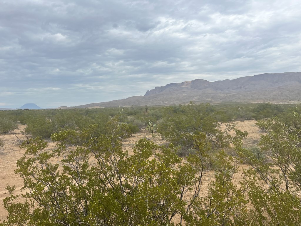 14833 Carico, Terlingua, Texas image 2