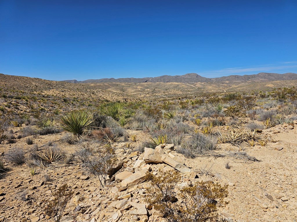 2808 E. Echo Ranch Rd, Terlingua, Texas image 19