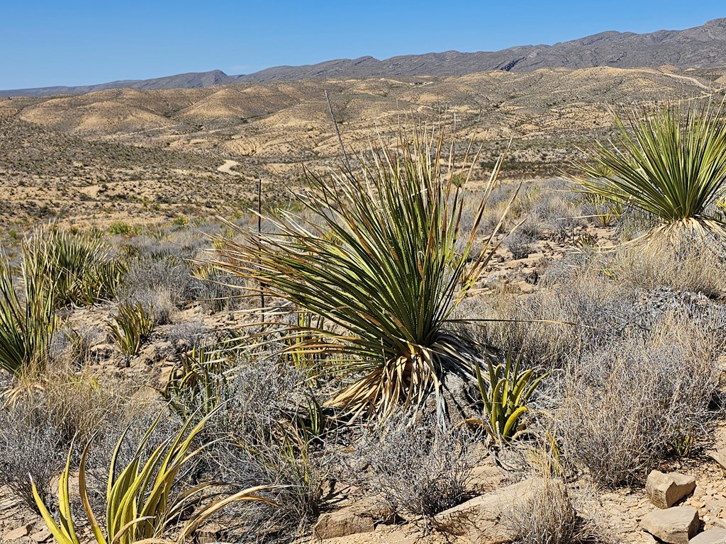 2808 E. Echo Ranch Rd, Terlingua, Texas image 11