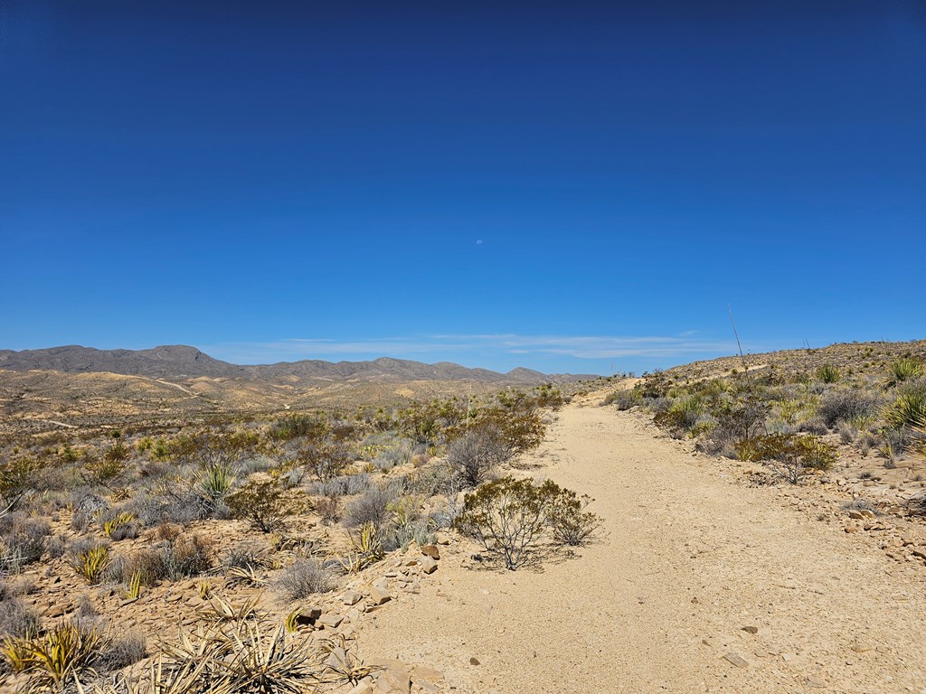 2808 E. Echo Ranch Rd, Terlingua, Texas image 18