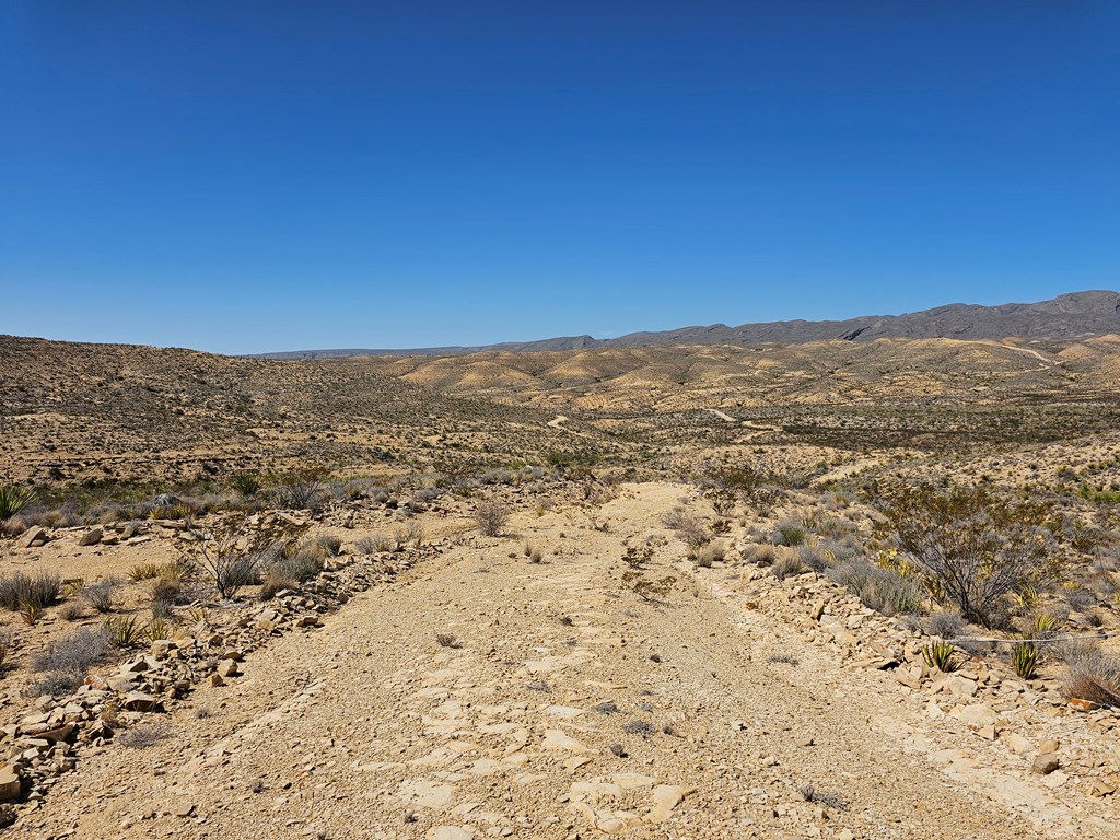 2808 E. Echo Ranch Rd, Terlingua, Texas image 13