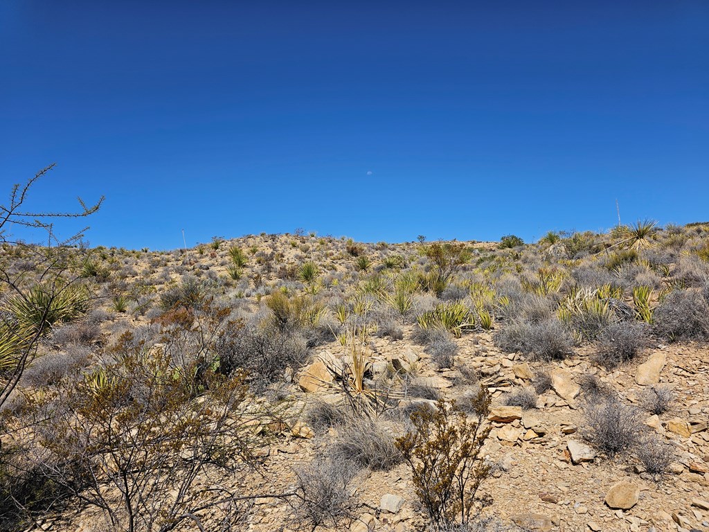 2808 E. Echo Ranch Rd, Terlingua, Texas image 22