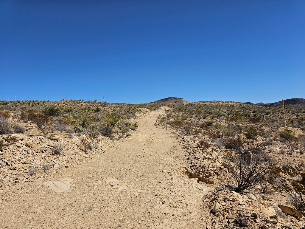 2808 E. Echo Ranch Rd, Terlingua, Texas image 24