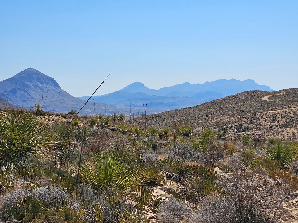 2808 E. Echo Ranch Rd, Terlingua, Texas image 2