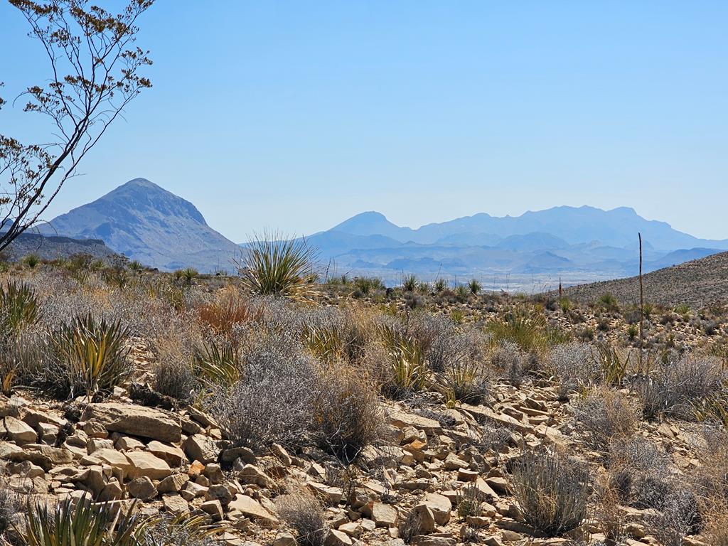 2808 E. Echo Ranch Rd, Terlingua, Texas image 1