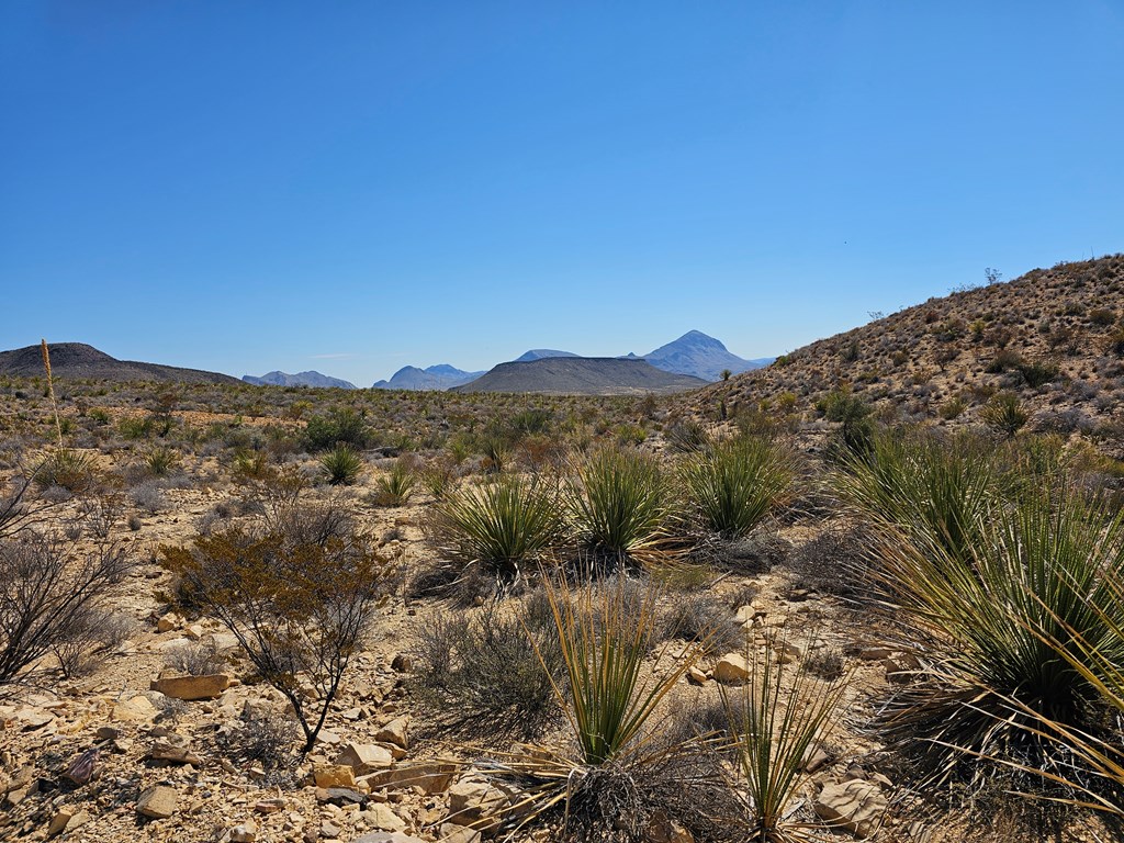 2808 E. Echo Ranch Rd, Terlingua, Texas image 25