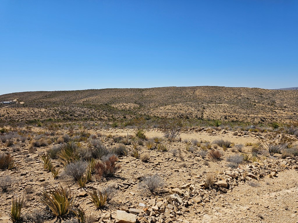 2808 E. Echo Ranch Rd, Terlingua, Texas image 14