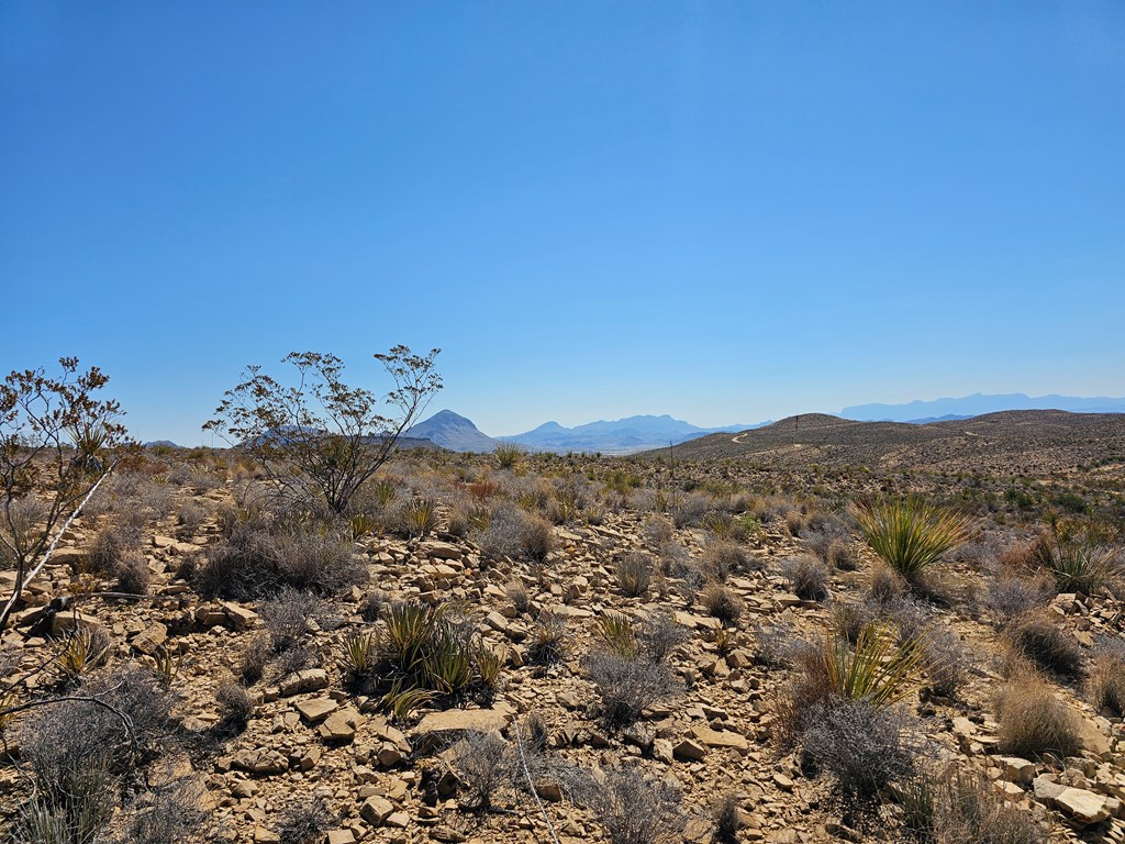 2808 E. Echo Ranch Rd, Terlingua, Texas image 7