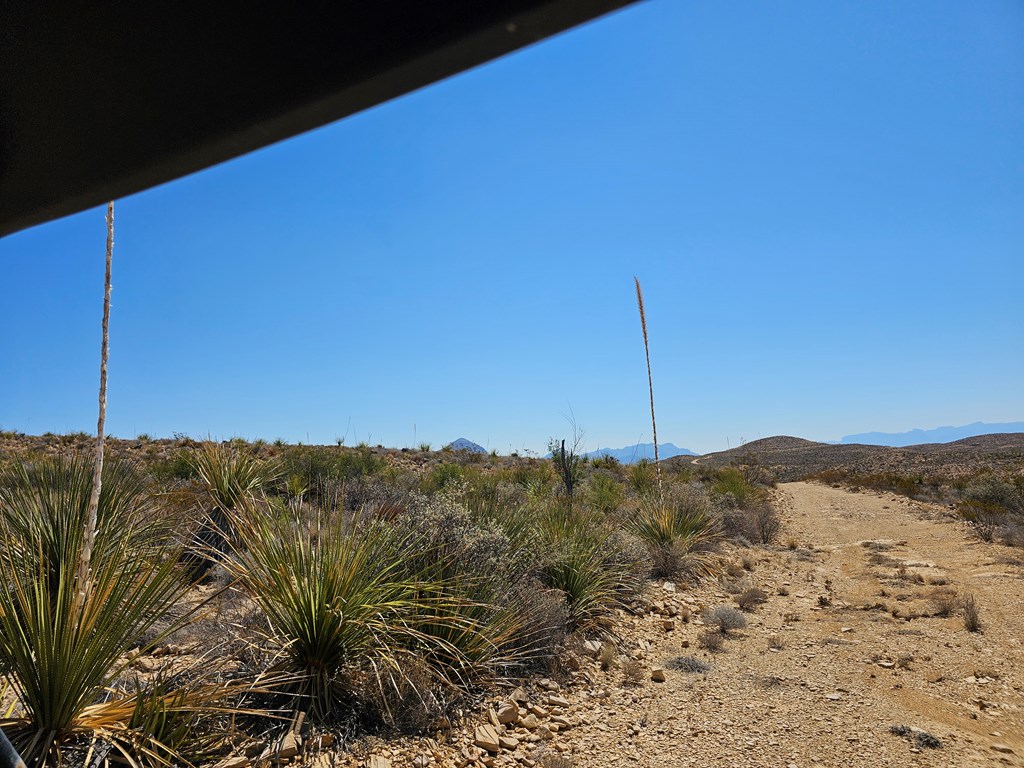 2808 E. Echo Ranch Rd, Terlingua, Texas image 9