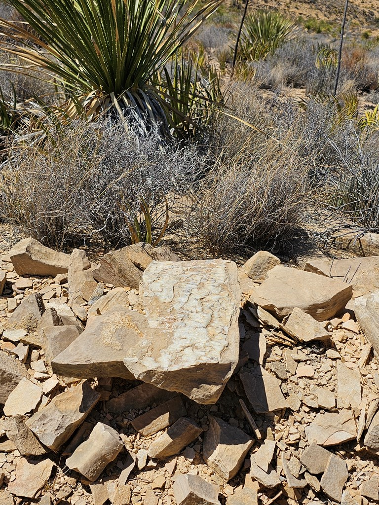 2808 E. Echo Ranch Rd, Terlingua, Texas image 12