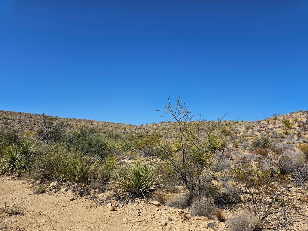 2808 E. Echo Ranch Rd, Terlingua, Texas image 23