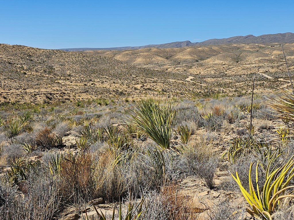 2808 E. Echo Ranch Rd, Terlingua, Texas image 8