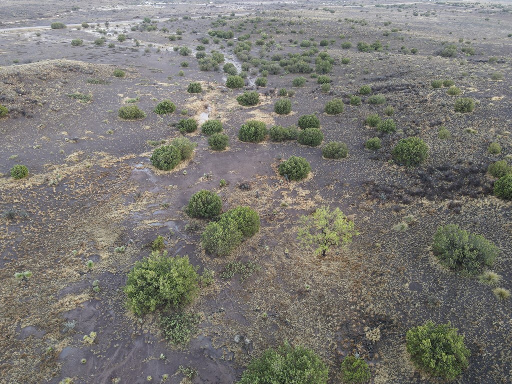 47140 Hwy 118, Alpine, Texas image 23