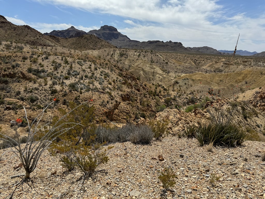 TR 42 Gate 2 Road, Terlingua, Texas image 21