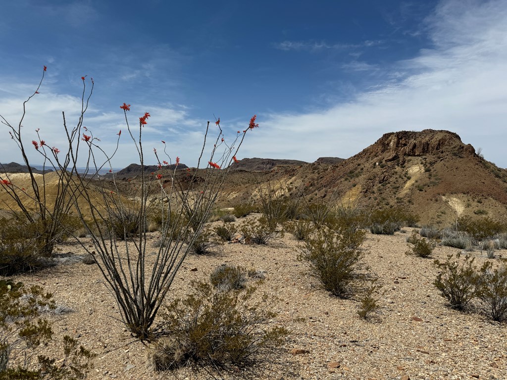 TR 42 Gate 2 Road, Terlingua, Texas image 37