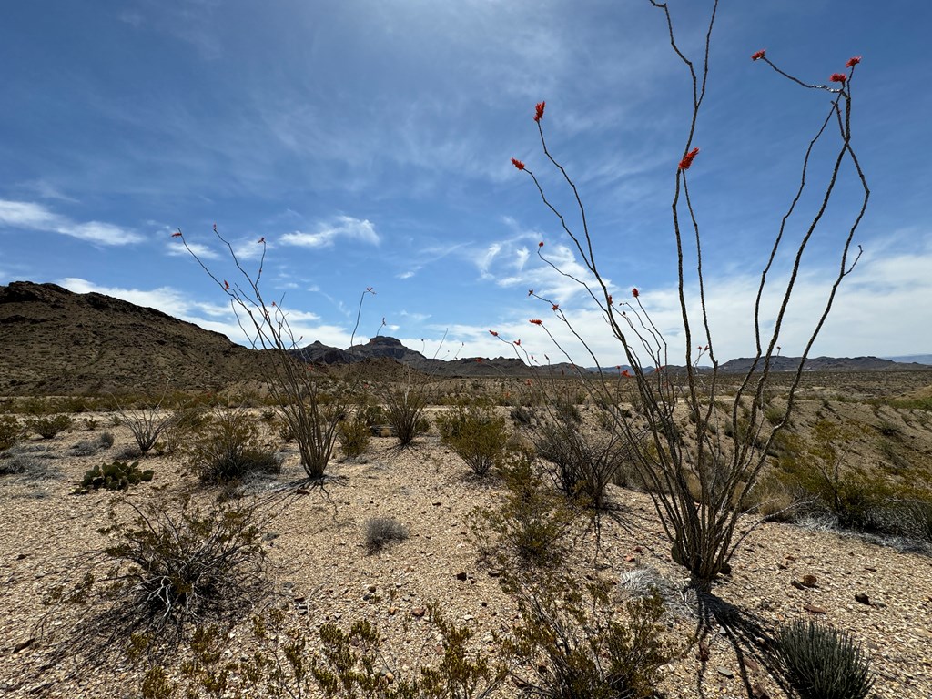 TR 42 Gate 2 Road, Terlingua, Texas image 49