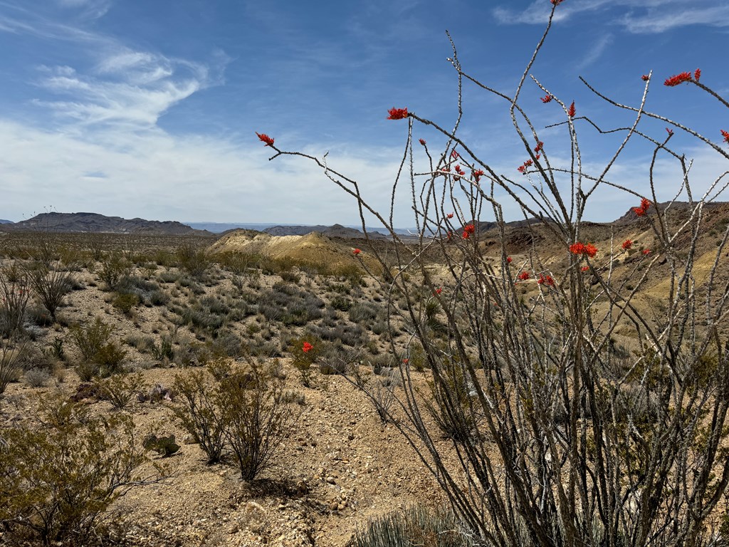 TR 42 Gate 2 Road, Terlingua, Texas image 33