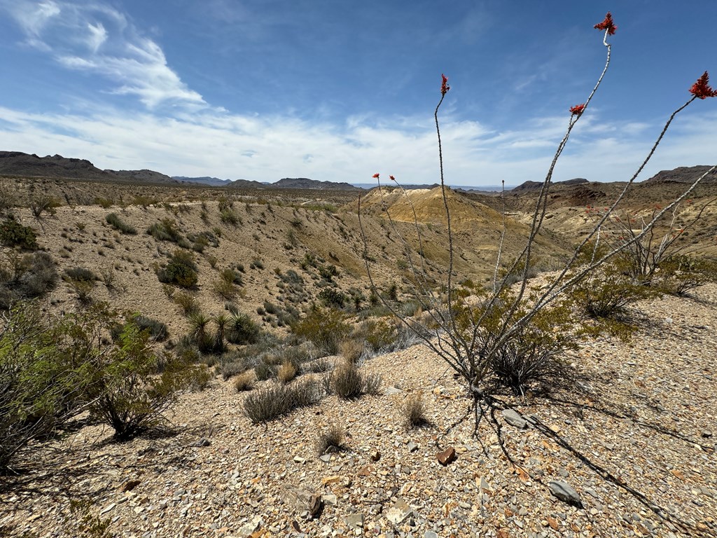 TR 42 Gate 2 Road, Terlingua, Texas image 47