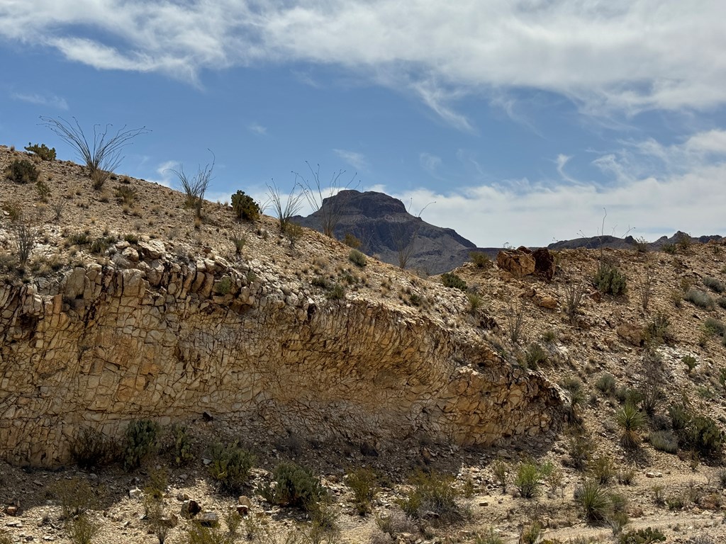 TR 42 Gate 2 Road, Terlingua, Texas image 9