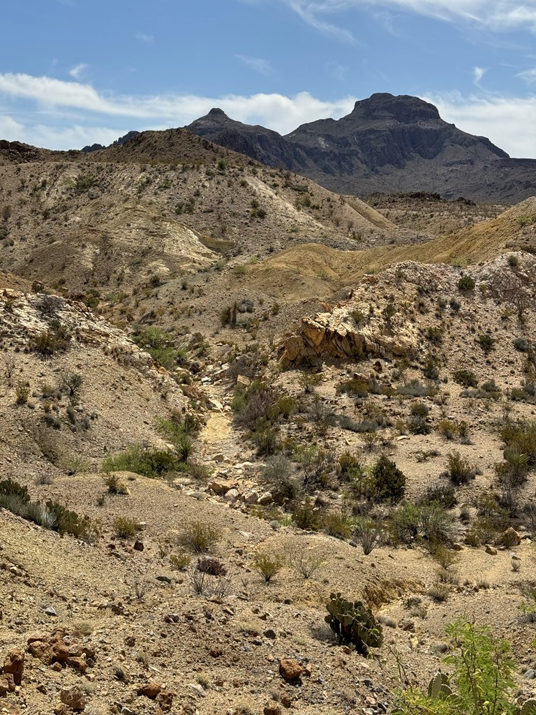 TR 42 Gate 2 Road, Terlingua, Texas image 15