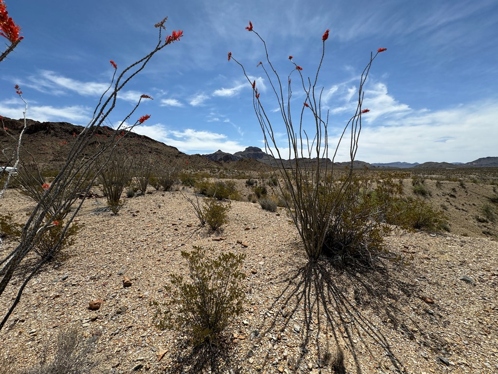 TR 42 Gate 2 Road, Terlingua, Texas image 45