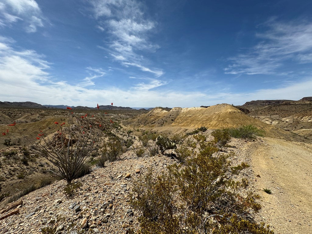 TR 42 Gate 2 Road, Terlingua, Texas image 13