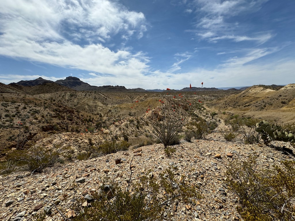 TR 42 Gate 2 Road, Terlingua, Texas image 14