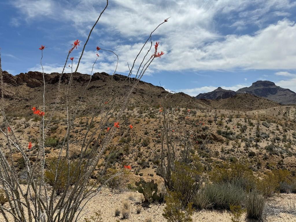 TR 42 Gate 2 Road, Terlingua, Texas image 1