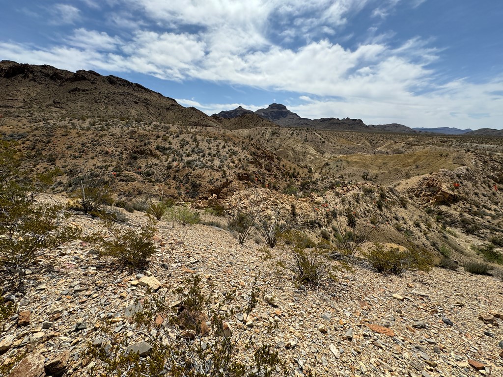 TR 42 Gate 2 Road, Terlingua, Texas image 22