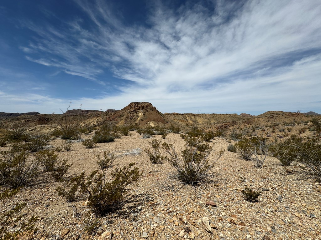 TR 42 Gate 2 Road, Terlingua, Texas image 31