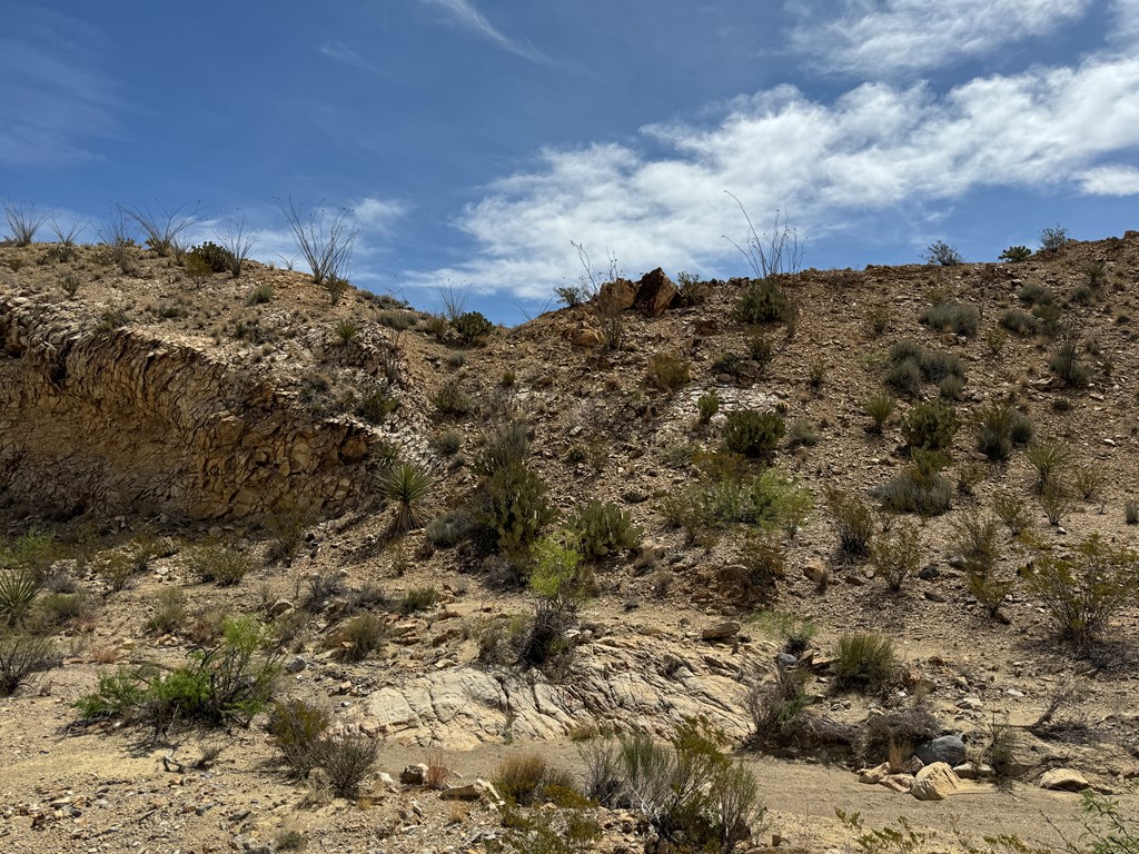 TR 42 Gate 2 Road, Terlingua, Texas image 7