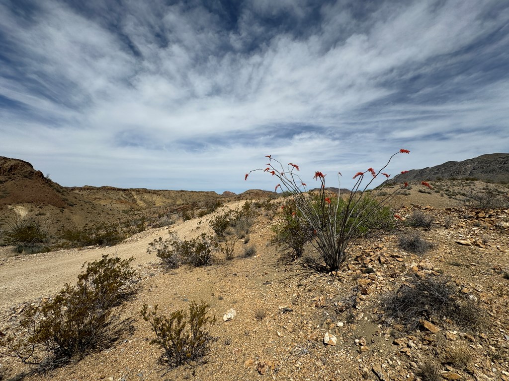 TR 42 Gate 2 Road, Terlingua, Texas image 35