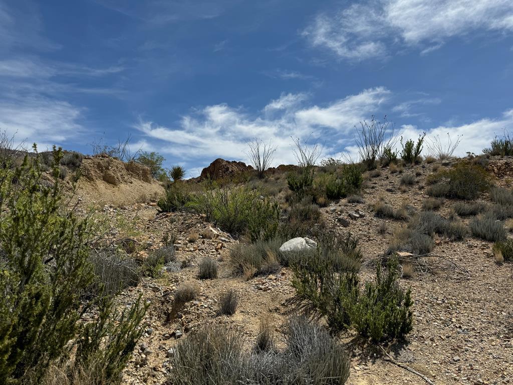 TR 42 Gate 2 Road, Terlingua, Texas image 2