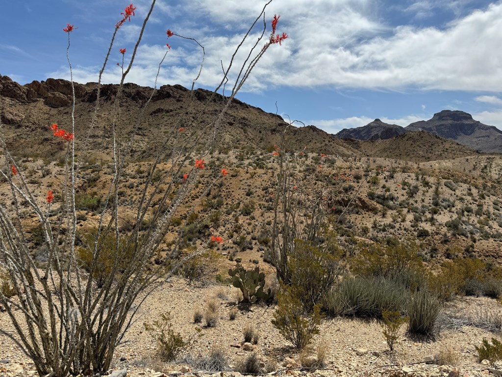 TR 42 Gate 2 Road, Terlingua, Texas image 26