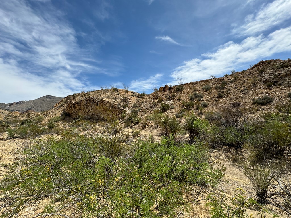 TR 42 Gate 2 Road, Terlingua, Texas image 4