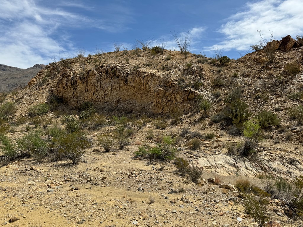 TR 42 Gate 2 Road, Terlingua, Texas image 6