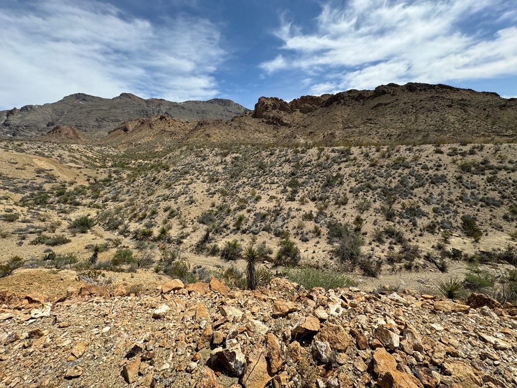 TR 42 Gate 2 Road, Terlingua, Texas image 29