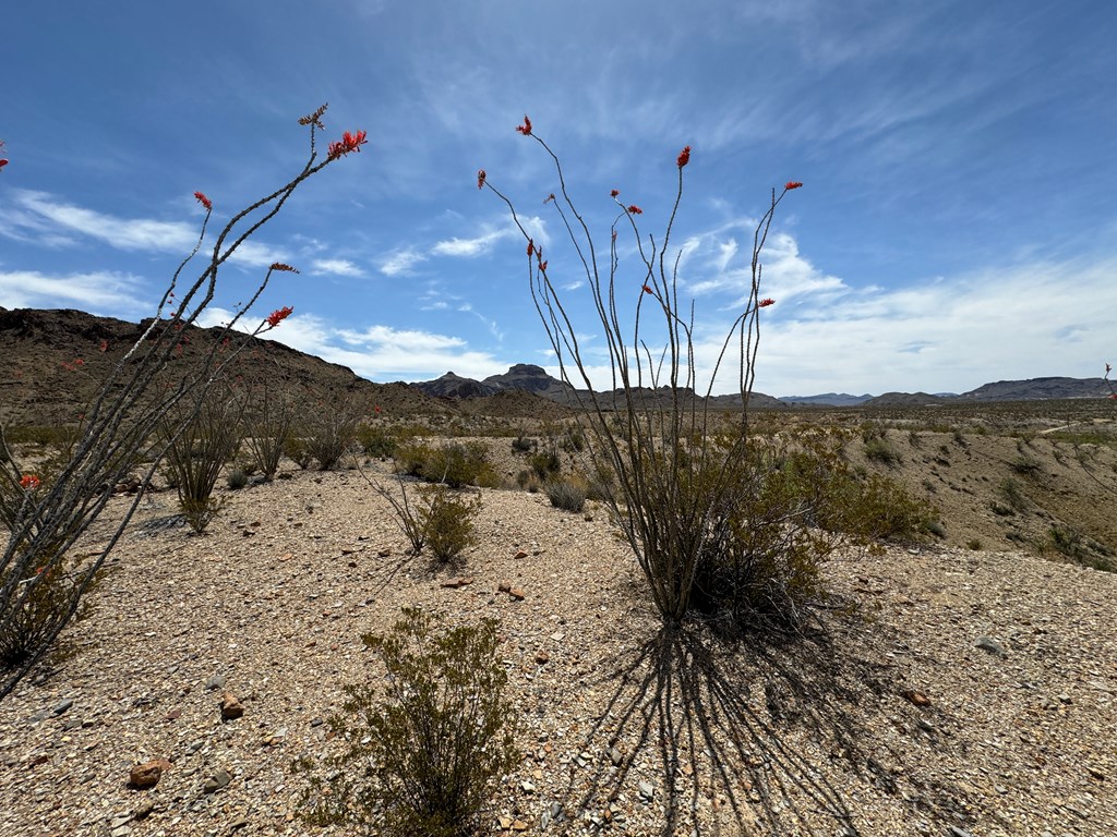 TR 42 Gate 2 Road, Terlingua, Texas image 46