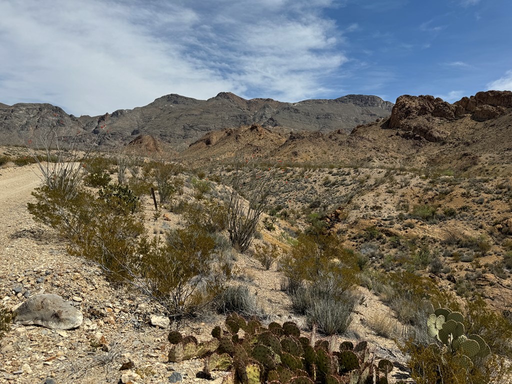 TR 42 Gate 2 Road, Terlingua, Texas image 19