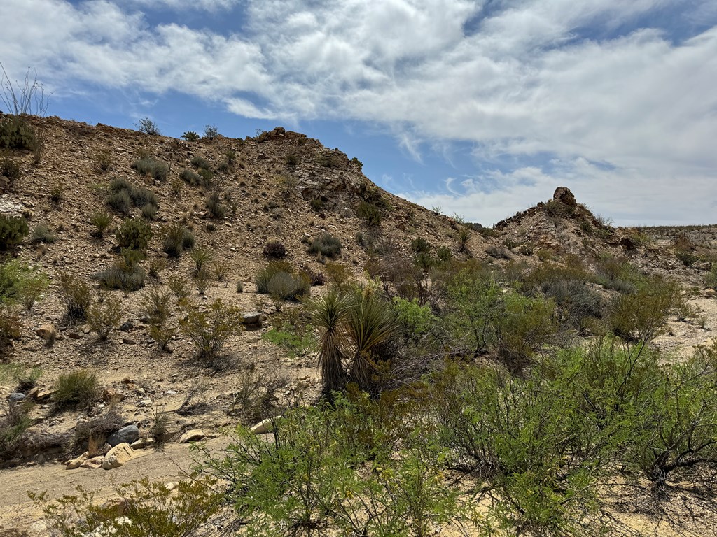 TR 42 Gate 2 Road, Terlingua, Texas image 12