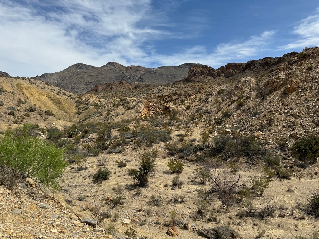 TR 42 Gate 2 Road, Terlingua, Texas image 10