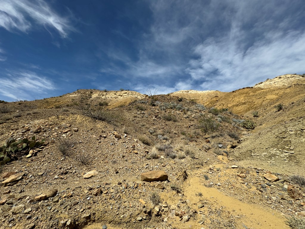 TR 42 Gate 2 Road, Terlingua, Texas image 3