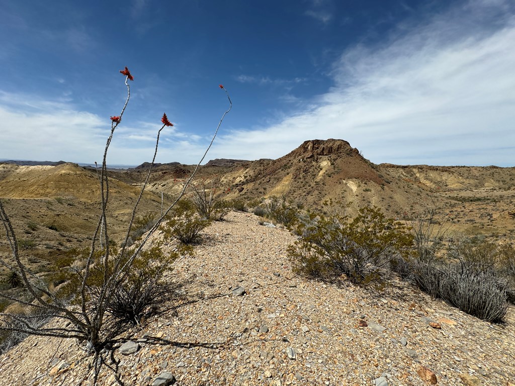 TR 42 Gate 2 Road, Terlingua, Texas image 48