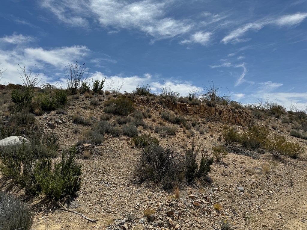 TR 42 Gate 2 Road, Terlingua, Texas image 39